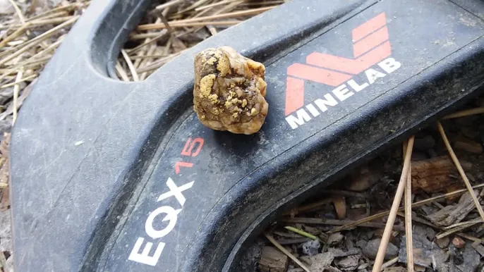 Minelab Equinox Arama Başlığı EQX15