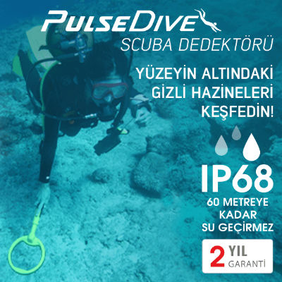 Nokta Pulsedive Arama Başlığı